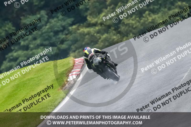 PJ Motorsport Photography 2020;anglesey;brands hatch;cadwell park;croft;donington park;enduro digital images;event digital images;eventdigitalimages;mallory;no limits;oulton park;peter wileman photography;racing digital images;silverstone;snetterton;trackday digital images;trackday photos;vmcc banbury run;welsh 2 day enduro